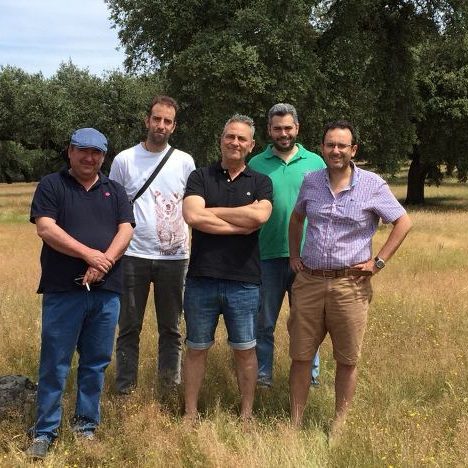 Adenex con protector cactus Adenex con protector cactus