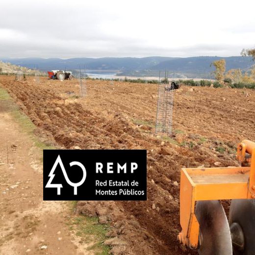 REMP REMP